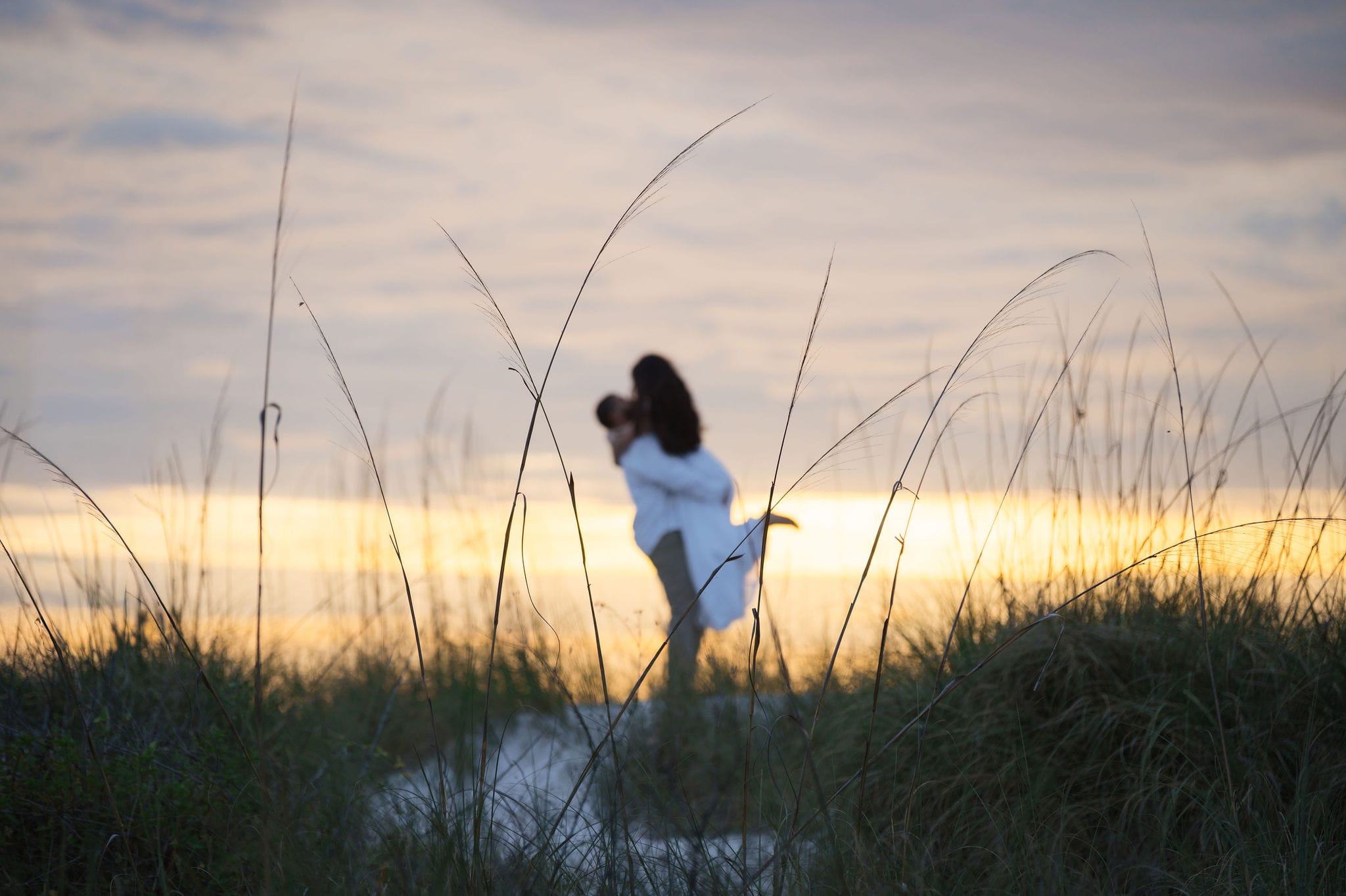 Dreamy lift kiss dune grass silhouettes