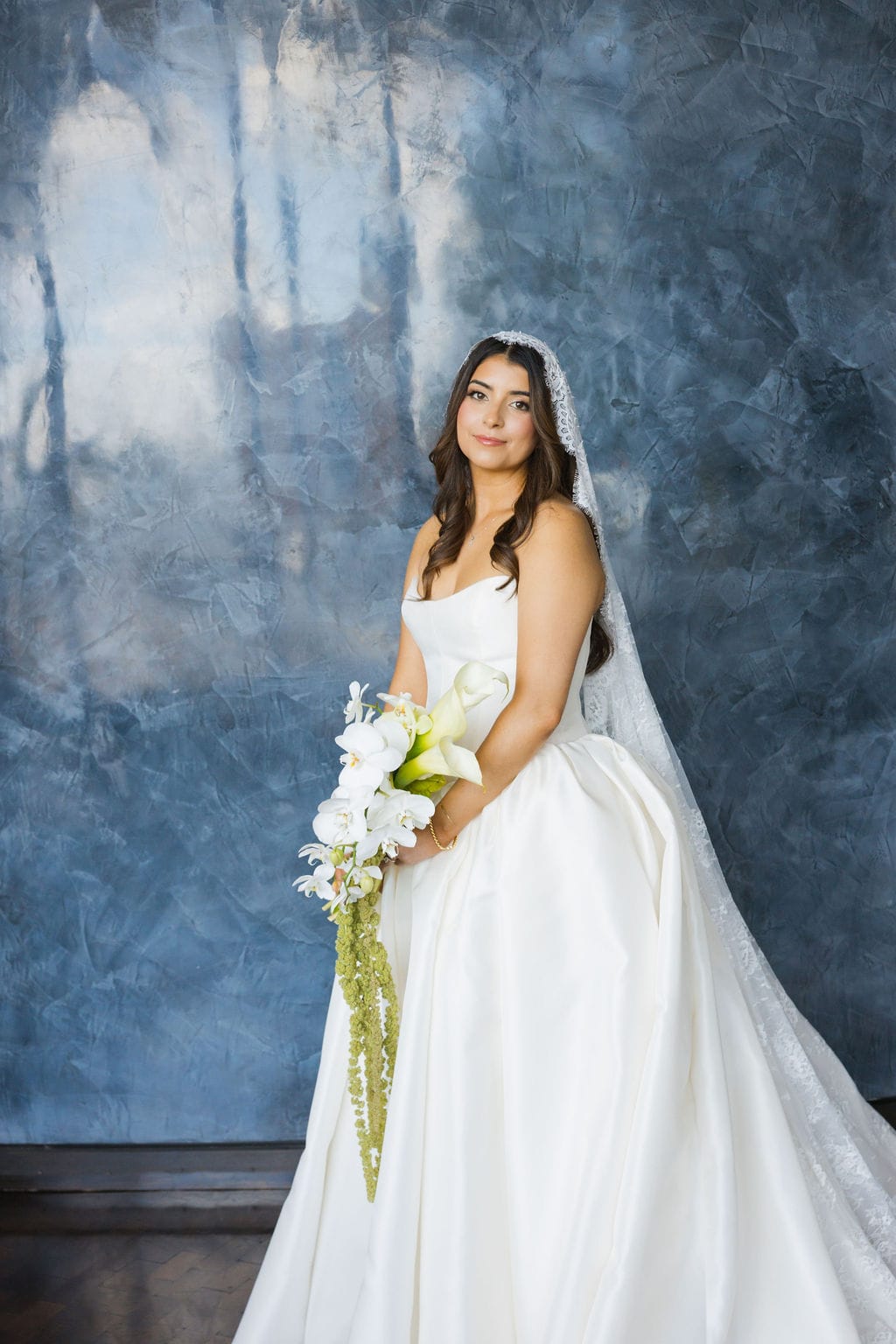 Bride white ballgown mantilla veil portrait