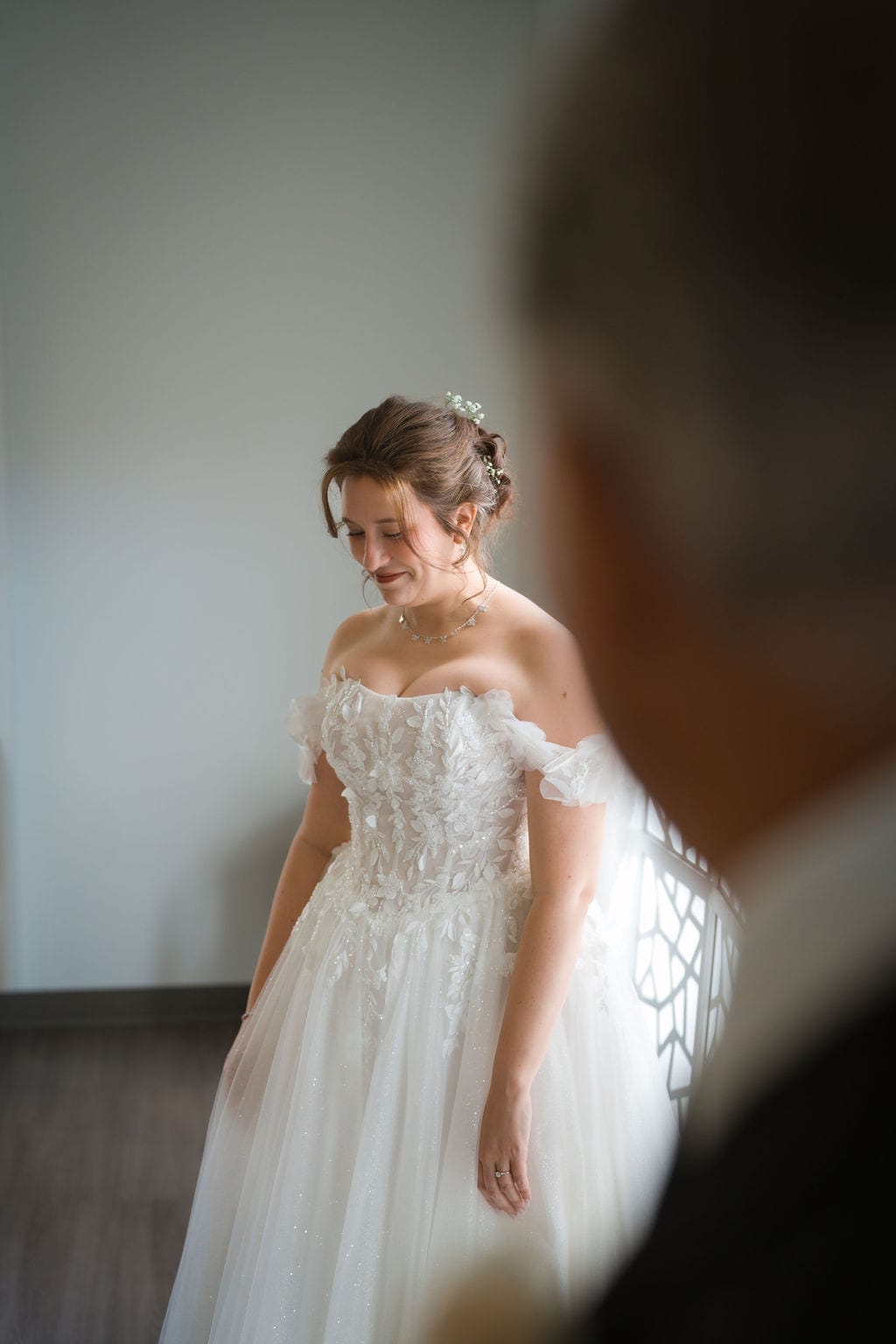 Bride in sparkling tulle gown window light portrait