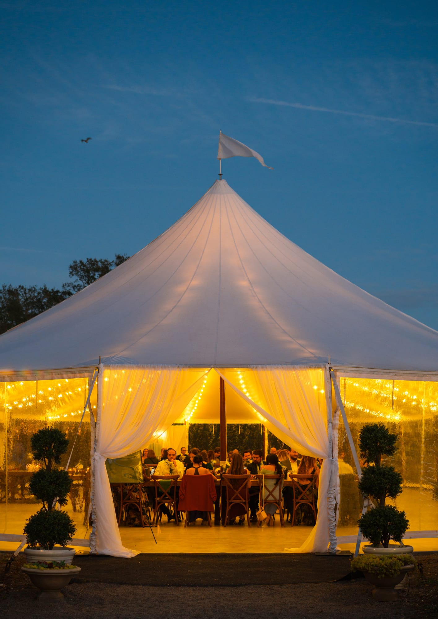Sailcloth tent glowing warm from the inside at dusk at Mill Pond Estate